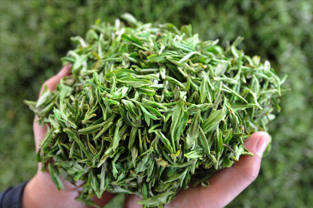 中国十大名茶排名(2022中国最新的茶叶最新排名) 中国十大名茶排名(2022中国最新的茶叶最新排名)