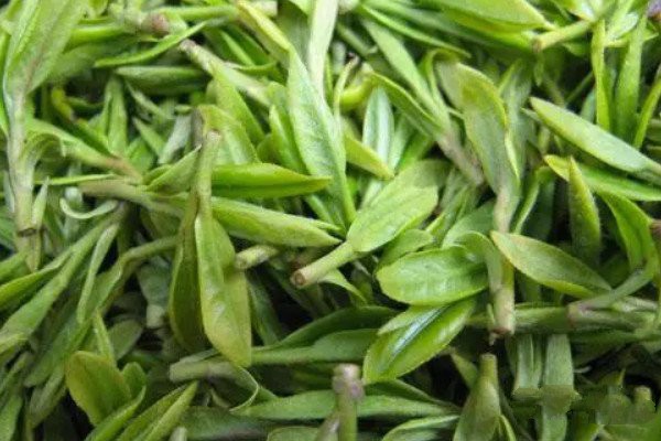 四川茶叶品牌大全_四川十大名茶排行榜(名称特点介绍) 四川茶叶品牌大全_四川十大名茶排行榜(名称特点介绍)
