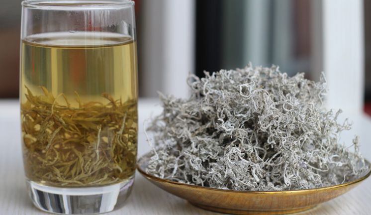 莓茶的功效与作用?莓茶的副作用 莓茶的功效与作用?莓茶的副作用