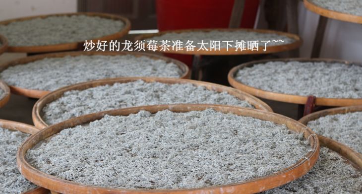 〖莓茶〗是什么茶?有什么用? 〖莓茶〗是什么茶?有什么用?